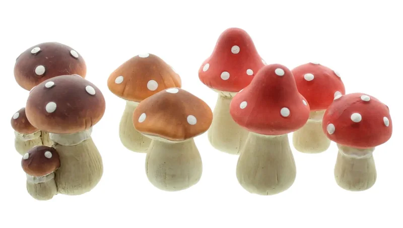 Fliegenpilz "Petit", 8er Set