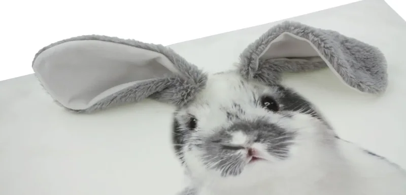 Kissenhülle "Schlappohr"