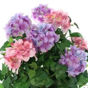 Kunstpflanze "Hortensie" im goldenen Topf, 55 cm hoch, künstliche Hortensien, Dekopflanze, Topfpflanze