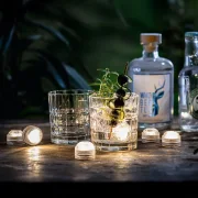 LED-Spot "Highlight", 6er Set