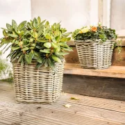 Pflanzer "Rattan", groß