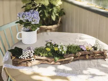 Pflanzer "Rustikal" aus Rebenholz, 70 cm lang, Tischdeko, Fensterbank, Pflanzschale, Pflanzgefäß, Gartendeko für Draußen