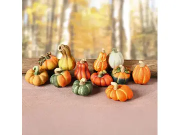 Terracotta-Kürbis, 12er Set